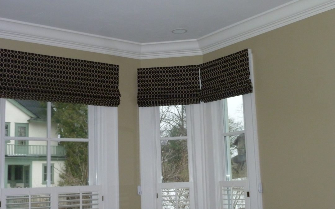 Contemporary Roman Shades & Shutters